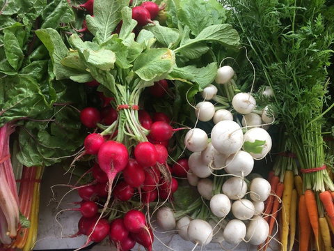 Joondalup Growers Market - Geraldton Accommodation 1