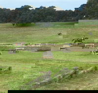 Mount Gambier and District Pony Club Horse Trials 2020 - Geraldton Accommodation