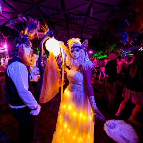 Mushroom Valley Festival - Geraldton Accommodation 1