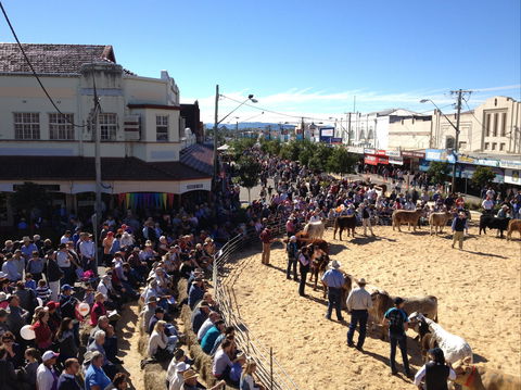 NCMC Casino Beef Week - Geraldton Accommodation 0