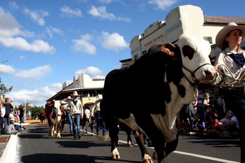 NCMC Casino Beef Week - Geraldton Accommodation 1