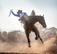 Rodeo by the Sea - Streaky Bay - Geraldton Accommodation