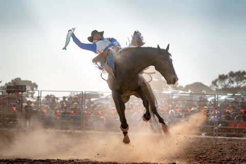 Rodeo By The Sea - Streaky Bay - Geraldton Accommodation 0