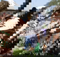 Sale  Producers Market - Geraldton Accommodation