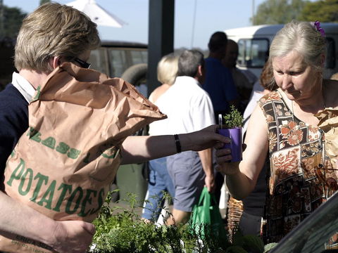 Sale  Producers Market - Geraldton Accommodation 0