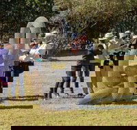 Sculpture for Clyde - Outdoor Exhibition - Geraldton Accommodation
