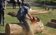 Tocal Field Days - thumb 0