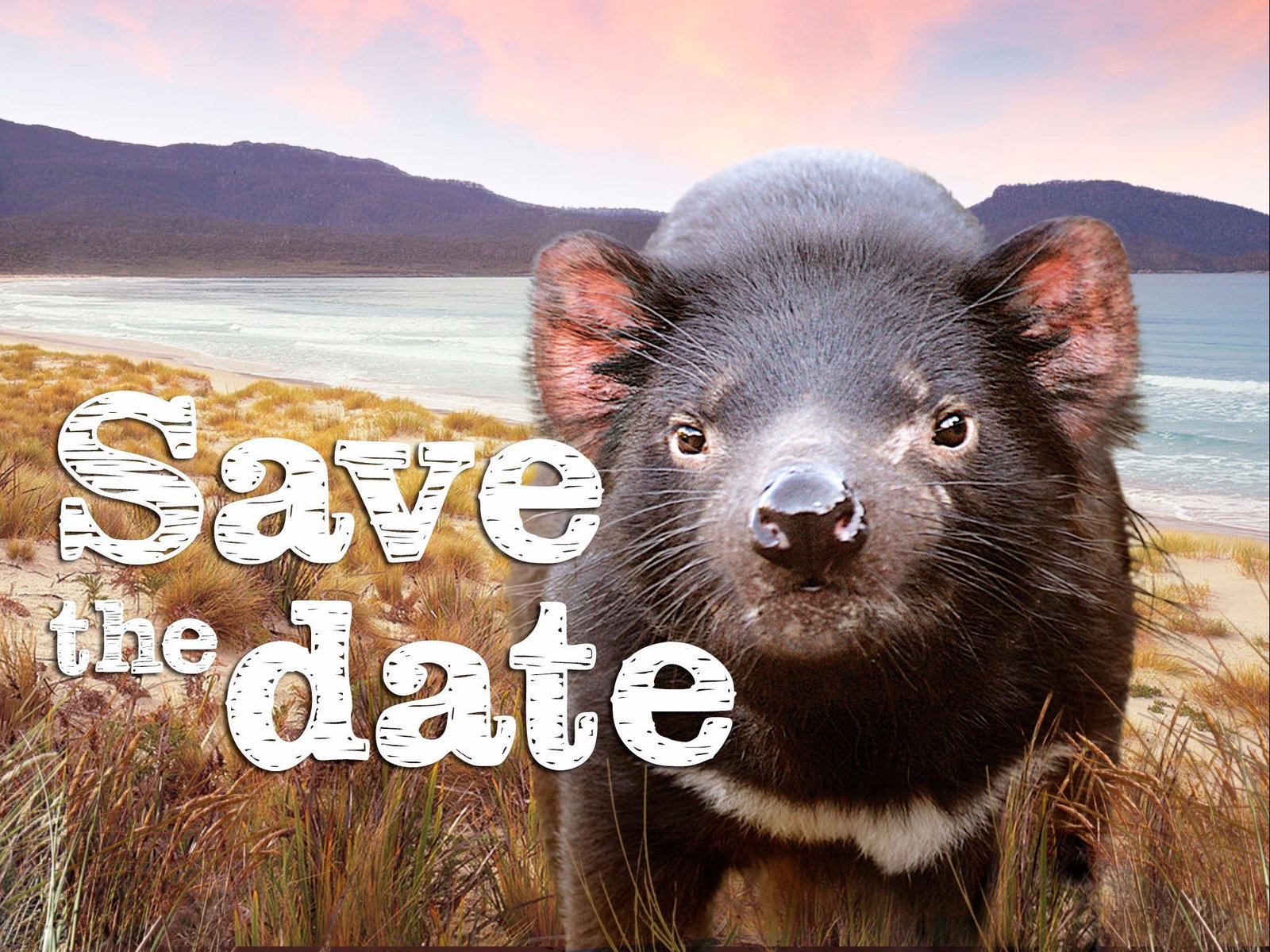 Antill Ponds TAS Geraldton Accommodation