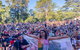 Wagga Wagga Mardi Gras Festival - thumb 1