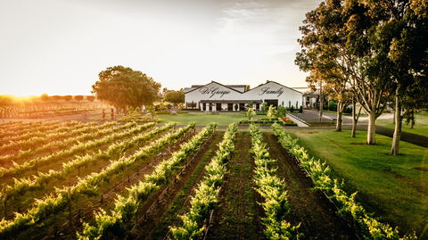 Aged Wine And Vintage Pies - Geraldton Accommodation 2