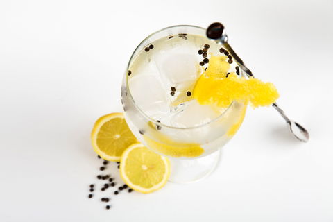 Online Live Streaming Class: Make Four Gin Cocktails - Geraldton Accommodation 0