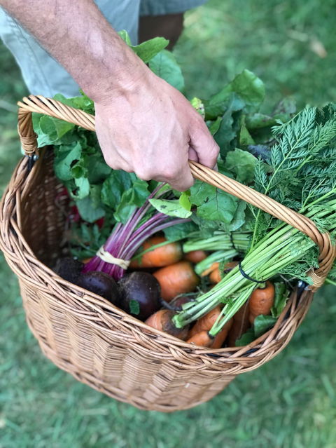 Orange Farmers Market - Geraldton Accommodation 0