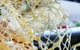 Buddha Beach Thai Restaurant - thumb 1