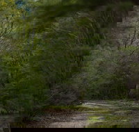 Yering Gorge Cottages