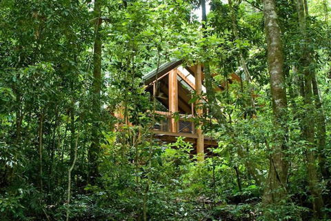 The Canopy Rainforest Treehouses And Wildlife Sanctuary - Geraldton Accommodation 1