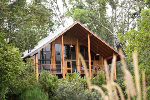 The Canopy Rainforest Treehouses And Wildlife Sanctuary - Geraldton Accommodation 2