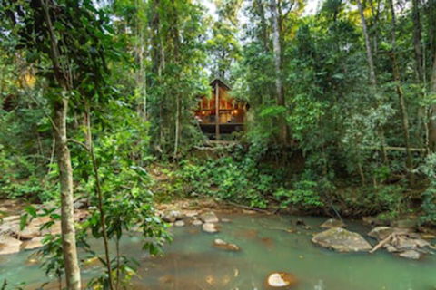 The Canopy Rainforest Treehouses And Wildlife Sanctuary - Geraldton Accommodation 0