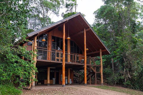 The Canopy Rainforest Treehouses And Wildlife Sanctuary - Geraldton Accommodation 3