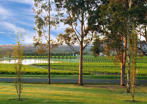 Estate Tuscany - Geraldton Accommodation 6