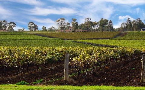 Estate Tuscany - Geraldton Accommodation 3