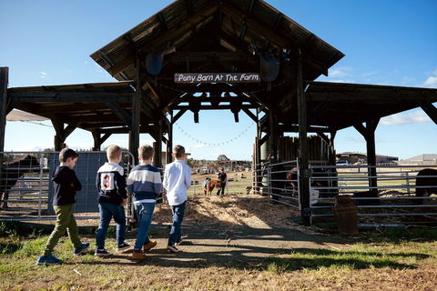 Hunter Valley Resort - Geraldton Accommodation 5