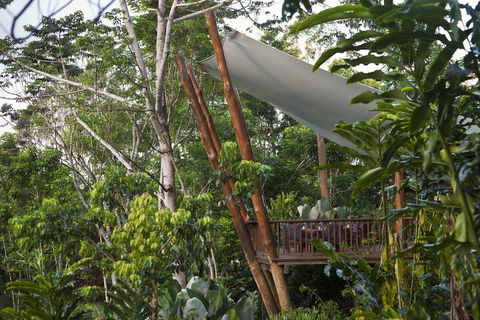 Rose Gums Wilderness Retreat - Geraldton Accommodation 2