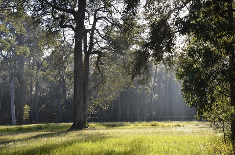 Worrowing Jervis Bay - Geraldton Accommodation 3
