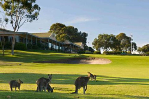 Early Settlers Motel Tocumwal - Geraldton Accommodation 6