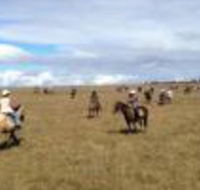 Susan River Homestead - Geraldton Accommodation