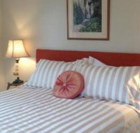 Every Man  His Dog Vineyard