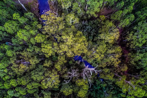 Saintys Creek Cottage - Geraldton Accommodation 4