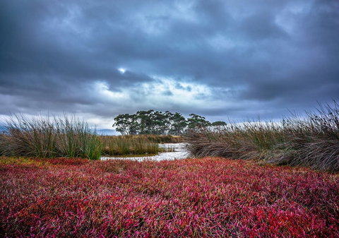 Saintys Creek Cottage - Geraldton Accommodation 0