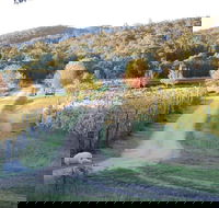 Twisted Gum Cottage - Geraldton Accommodation