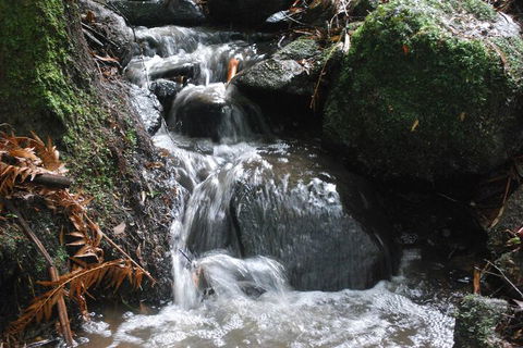 Rocky Creek Art Garden B&B - Geraldton Accommodation 4