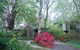 Rocky Creek Art Garden B&B - thumb 5