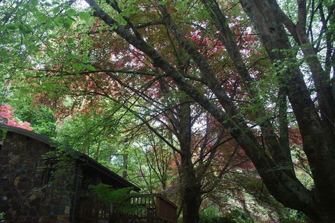 Rocky Creek Art Garden B&B - Geraldton Accommodation 2