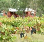 Fergies Hill Spa Cottage at Granite Ridge Wines - Geraldton Accommodation