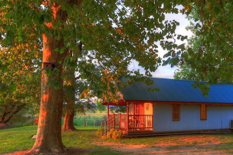 Colac Colac Caravan Park - Geraldton Accommodation 5