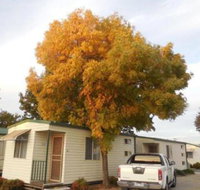 Wodonga Caravan  Cabin Park