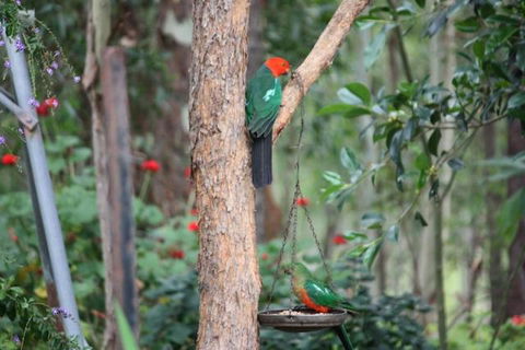 Twilight Grove Farm - Geraldton Accommodation 3