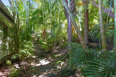 Palm Trees Noosa - Geraldton Accommodation 6