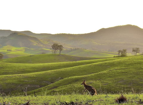 Ketchup's Bank Glamping - Geraldton Accommodation 0
