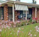 Butterfly Cottage - Geraldton Accommodation