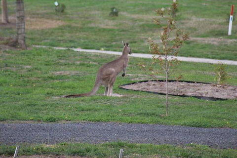 Nyora Lodge B & B - Geraldton Accommodation 7