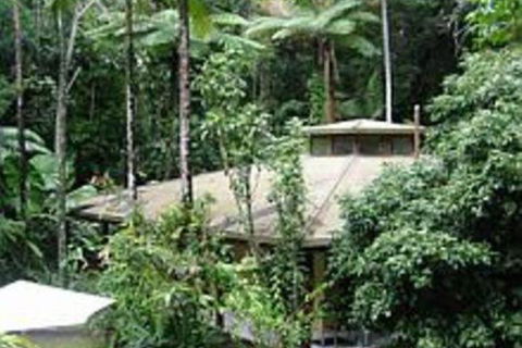 Daintree Deep Forest Lodge - Geraldton Accommodation 4