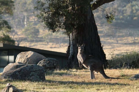 Ecocrackenback 13 'Sustainable Chalet Close To The Slopes.' - Geraldton Accommodation 1