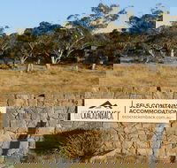 Ecocrackenback 9 'Sustainable chalet close to the slopes.' - Geraldton Accommodation