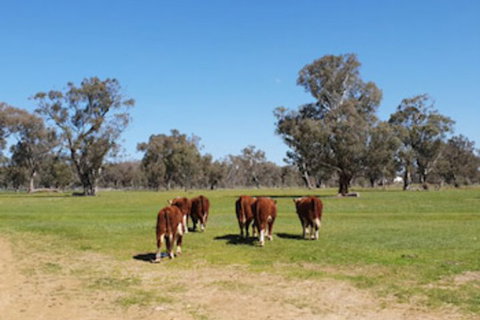 Jindera Park - Geraldton Accommodation 0