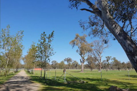 Jindera Park - Geraldton Accommodation 1