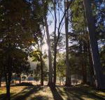 Bright Cabin Park - Geraldton Accommodation